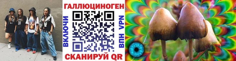 Галлюциногенные грибы MAGIC MUSHROOMS  Медынь 
